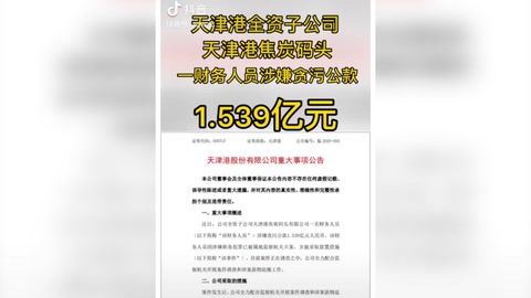 天津某公司财务人员贪污公款1.539亿元人民币