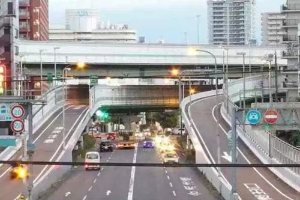阪神高速公路—日本