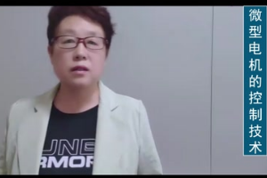 微型<em>电机</em>的控制技术