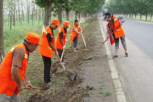 路肩—为保持车行道<em>的</em>功能和临时停车使用，并作为路面的横向支承