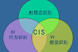 <em>CIS</em>企业识别系统