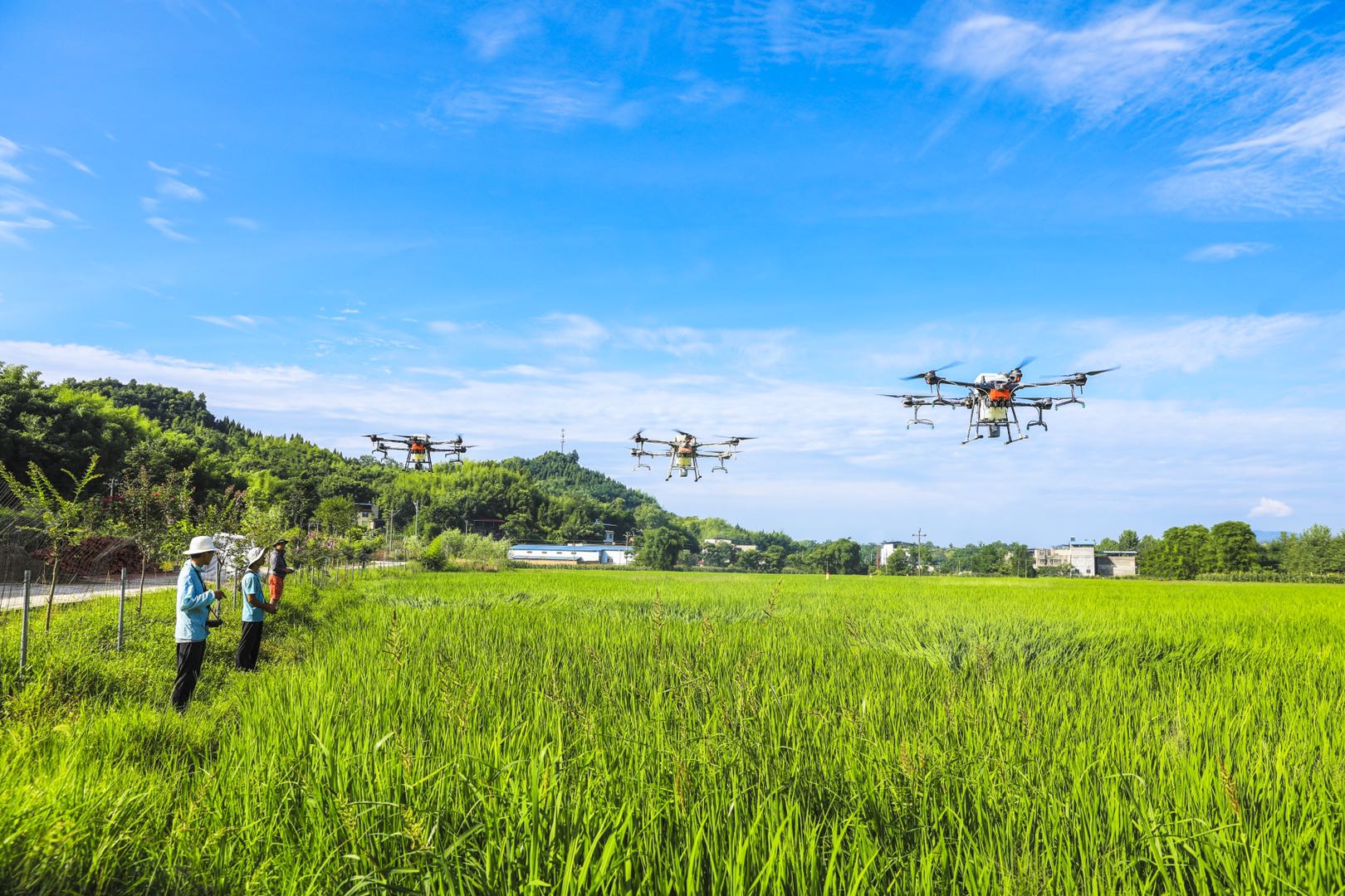 无人机成“助农神器” 带来农业生产幸福感
