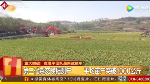 袁隆平团队：第三代杂交晚稻测产 平均亩产突破1000公斤