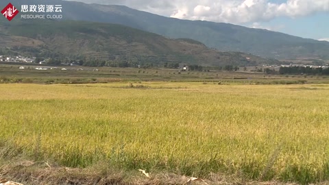 发展稻渔综合种养 实现农业生态双赢