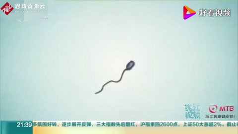 中国科学家培育出世界首只双父来源小鼠