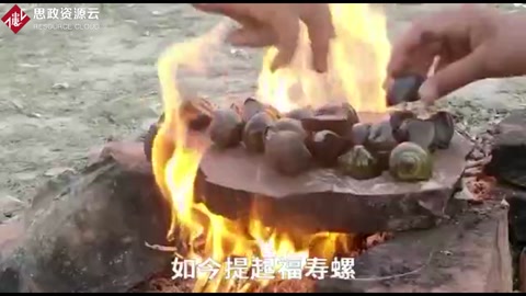 福寿螺入侵40年，吃货拿它没办法！螺肉含有千条寄生虫！