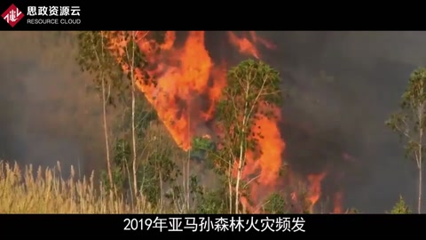 一分钟了解2019年亚马孙森林火灾