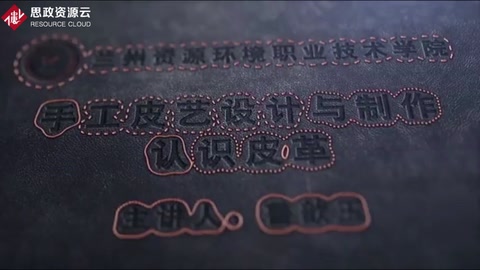 微课：工艺美术品设计专业《手工皮艺设计与制作——认识皮革》