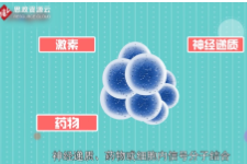 一分钟了解受体