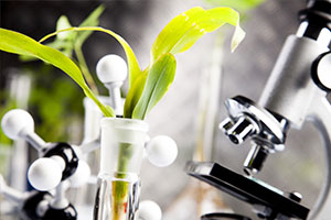 种子生产与经营专业《植物生理学—植物的营养器官》课程思政课堂教学设计