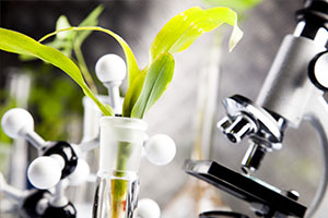 种子生产与经营专业：《植物生理学—植物的水分代谢》课程思政课堂教学设计