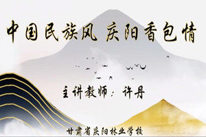 <em>微</em><em>课</em>：学前教育<em>专业</em>《中国民族风 庆阳香包情》