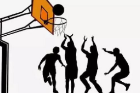 运动训练—篮球（图6）