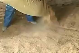 发酵床养鸭技术