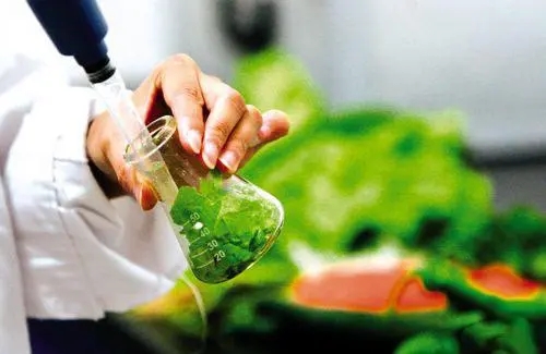 食品检验检测技术专业：《食品生物化学—生物氧化》课程思政课堂教学设计