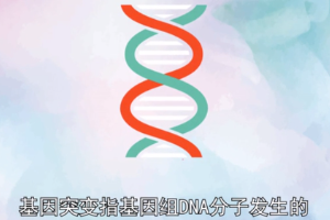 基因突变—指基因在结构上发生碱基对组成或排列顺序的改变