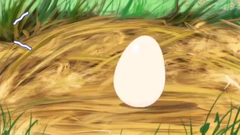 孵化小鸡，蛋黄发育成什么？