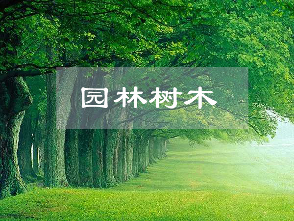 <em>园林</em><em>工程技术</em>、<em>园林</em>技术<em>专业</em>：《<em>园林</em><em>树木</em>》<em>课程</em><em>思</em><em>政</em><em>课堂教学</em><em>设计</em>