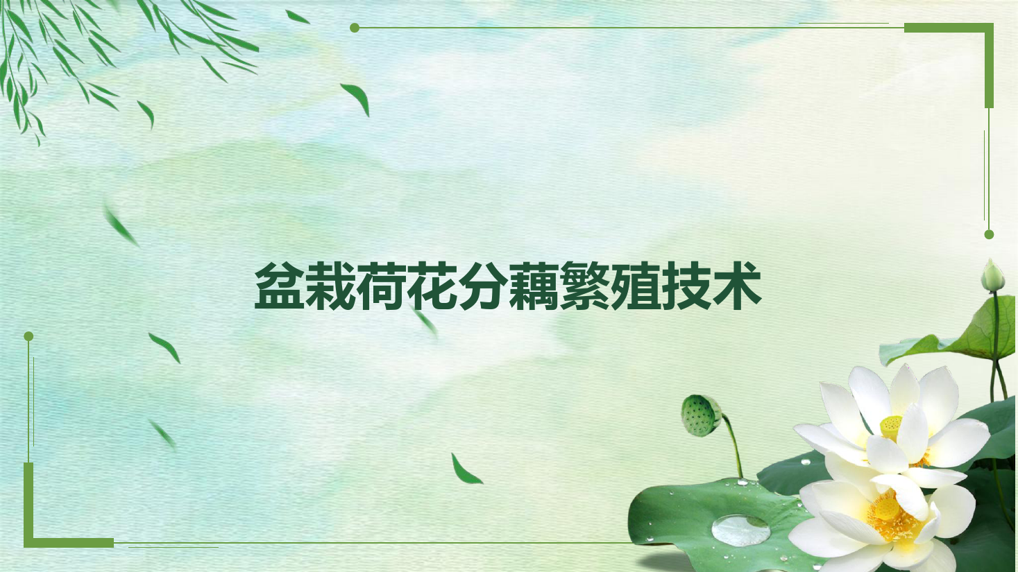 <em>课件</em>：<em>园林</em>技术<em>专业</em>《<em>园林规划</em><em>设计</em>—盆栽荷花分藕繁殖技术》