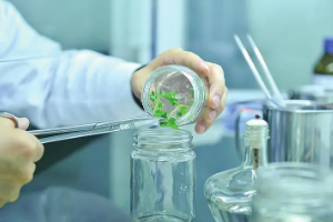 课程标准：园艺技术专业《农业科学试验》课程标准　