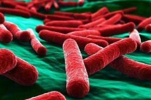 <em>农产品</em>加工<em>与</em><em>质量</em><em>检测</em><em>专业</em>：《微生物分析<em>检测</em>—<em>检</em>食品菌落，保人民安全》<em>课程</em><em>思</em><em>政</em><em>课堂教学</em><em>设计</em>