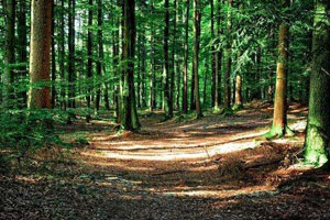 <em>园林</em><em>专业</em>：《<em>计算机辅助设计</em>3d技术—工作界面及<em>基本</em><em>操作</em>（一）》<em>课程</em><em>思</em><em>政</em><em>课堂教学</em><em>设计</em>