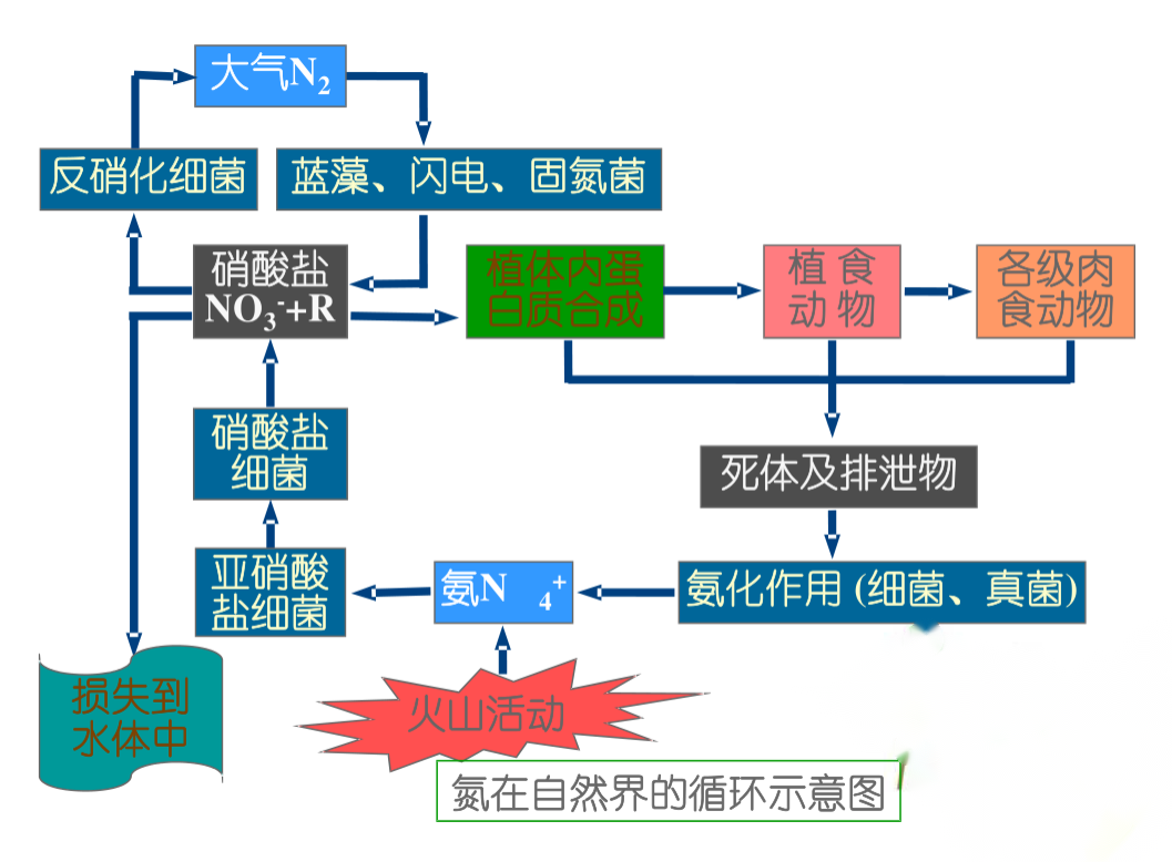 <em>氮</em>在自然界的<em>循环</em>示意图