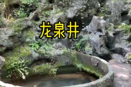 杭州西湖凤篁岭有一龙井泉，古老又神秘，被人们誉为天下第三泉
