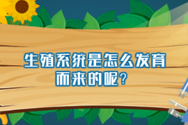 生殖系统是怎么发育而来的呢？