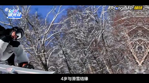 苏翊鸣—中国单板滑雪运动员