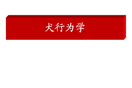 <em>课件</em>：<em>警犬</em><em>技术</em><em>专业</em>《犬行为<em>学</em>》