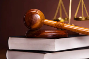 课件：侦查学专业《刑事侦查学—第一讲引论  第二讲侦查学总论》