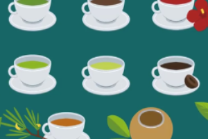 国际茶日—农业领域国际性节日