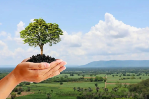 植物保护<em>与</em>检疫技术<em>专业</em>：《植物保护技术》<em>课程</em><em>实践</em>教学<em>的</em>探索