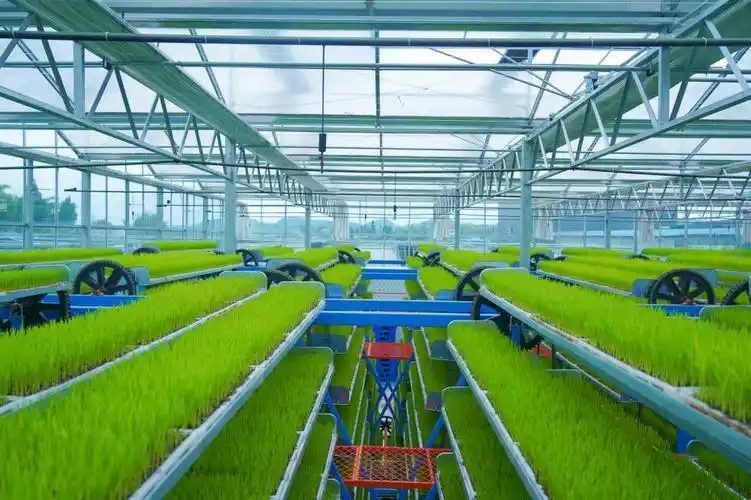 <em>现代</em><em>农业技术</em><em>专业</em>：《设施<em>农业技术</em>—设施农业环境智能调控<em>中</em><em>的</em>质量兴农<em>与</em><em>生态</em><em>责任</em>》<em>课程</em><em>思</em><em>政教</em>学<em>案例</em>