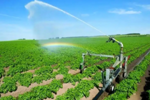 现代农业技术<em>专业</em>：《农作物栽培技术—精准栽培技术中的质量兴农<em>与</em>生态责任》<em>课程</em><em>思</em>政教学<em>案例</em>