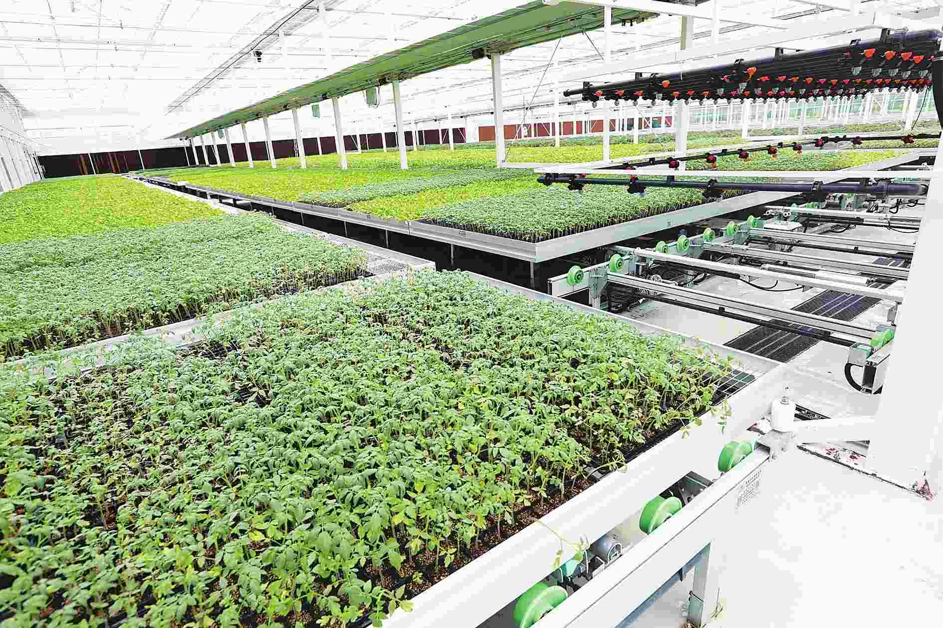 <em>课件</em>： 林业技术<em>专业</em>《<em>种苗</em><em>生产</em>—嫁接前的准备及嫁接工具》