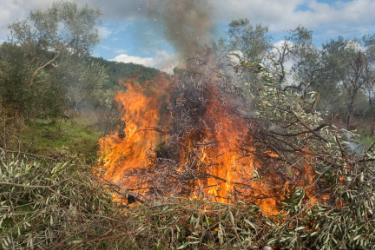 林业<em>技术</em><em>专业</em>：《<em>森林</em><em>防火</em>—<em>森林</em><em>火灾</em>成因<em>与</em>预防措施》<em>课程</em><em>思</em><em>政</em><em>课堂教学</em><em>设计</em>