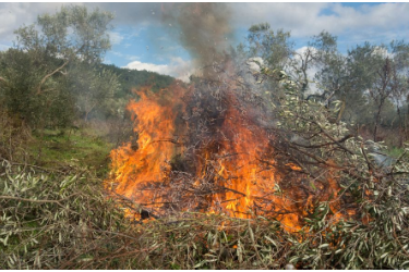 林业<em>技术</em><em>专业</em> ：《<em>森林</em><em>防火</em>》<em>课程</em><em>思</em>政<em>案例</em>