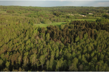 <em>课件</em>： <em>林业</em><em>技术</em><em>专业</em>《森林经营<em>技术</em>—森林经营的基础理论》