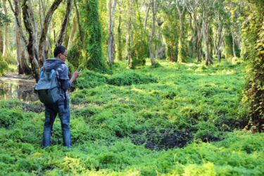 <em>林业</em><em>技术</em><em>专业</em>：《<em>森林</em>资产评估—<em>森林</em>资源<em>价值</em>评估<em>与</em><em>生态</em>文明建设的融合实践》<em>课程</em><em>思</em><em>政</em><em>课堂教学</em><em>设计</em>