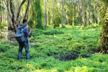 <em>林业</em><em>技术</em><em>专业</em> ：《<em>森林</em>资产评估》<em>课程</em><em>思</em><em>政</em><em>案例</em>