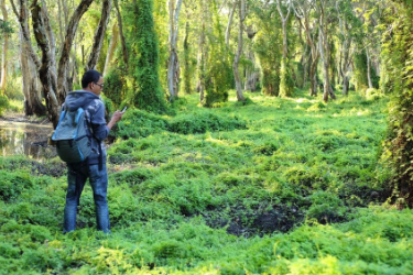 <em>课件</em>： <em>林业</em><em>技术</em><em>专业</em>《森林资产评估—森林资产评估准备》