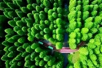 林业技术专业 ：《林业3S技术》<em>课程</em><em>思</em><em>政</em><em>案例</em>