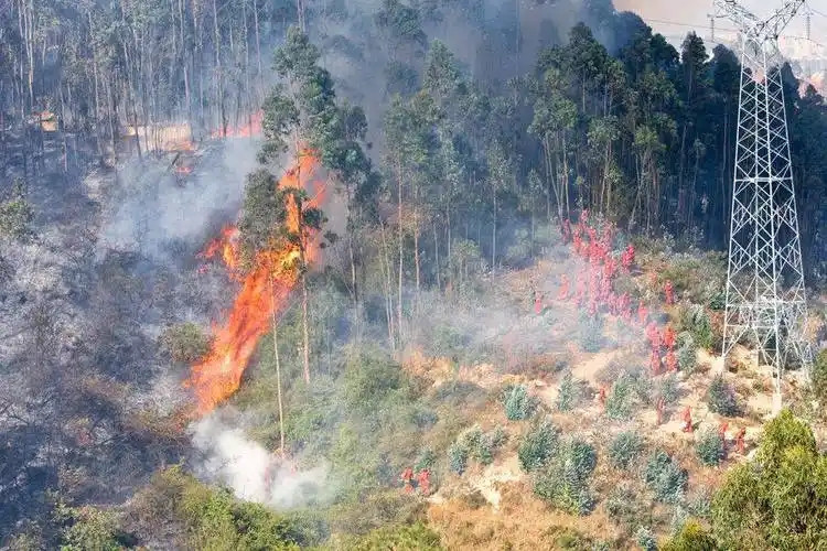 <em>森林草原</em><em>防火</em><em>技术</em><em>专业</em>：《<em>林火</em>管理—<em>林火</em>预防与应急处置》<em>课程</em><em>思</em>政教学<em>案例</em>