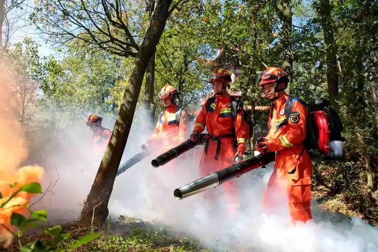 <em>课件</em>：<em>森林草原</em><em>防火</em><em>技术</em><em>专业</em>《风力灭火<em>技术</em>》