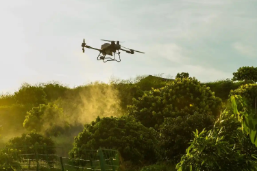 <em>森林</em>草原防火<em>技术</em><em>专业</em> ：《<em>无人机</em><em>应用</em>》<em>课程</em><em>思</em><em>政</em><em>案例</em>