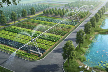 <em>生态</em><em>农业技术</em><em>专业</em>《<em>生态</em>农业园区规划<em>设计</em>》<em>课程</em><em>思</em><em>政</em><em>课堂教学</em><em>设计</em>