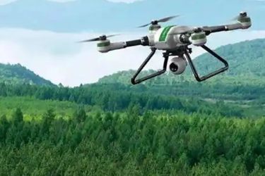 <em>林业</em><em>技术</em><em>专业</em> ：《<em>林业</em>无人机应用—无人机在森林病虫害监测中的应用》<em>课程</em><em>思</em><em>政</em><em>案例</em>