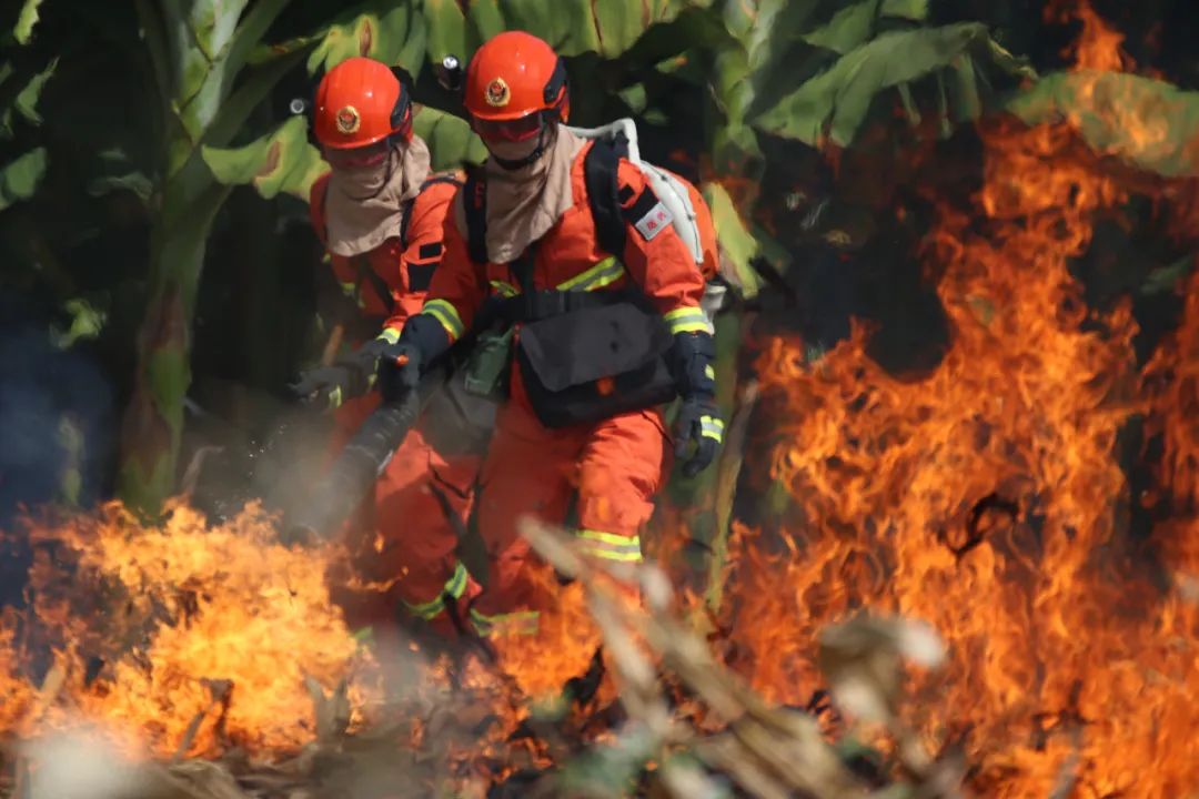 <em>课件</em>：<em>森林草原</em><em>防火</em><em>技术</em><em>专业</em>《林草<em>防火</em>》